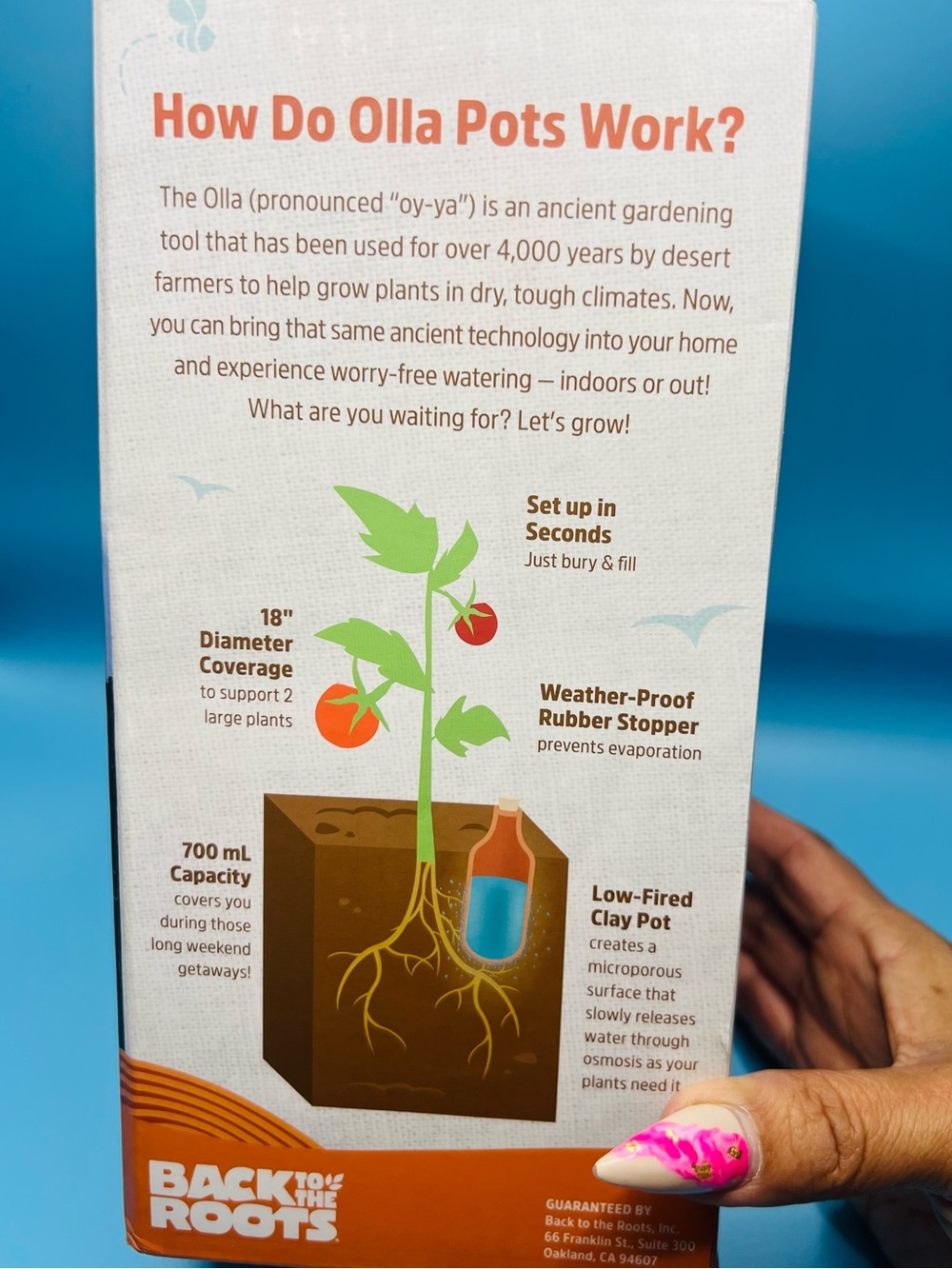 Back to the Roots Terracotta Olla Pot Self-Watering System 700mL NIB - Picture 5 of 10